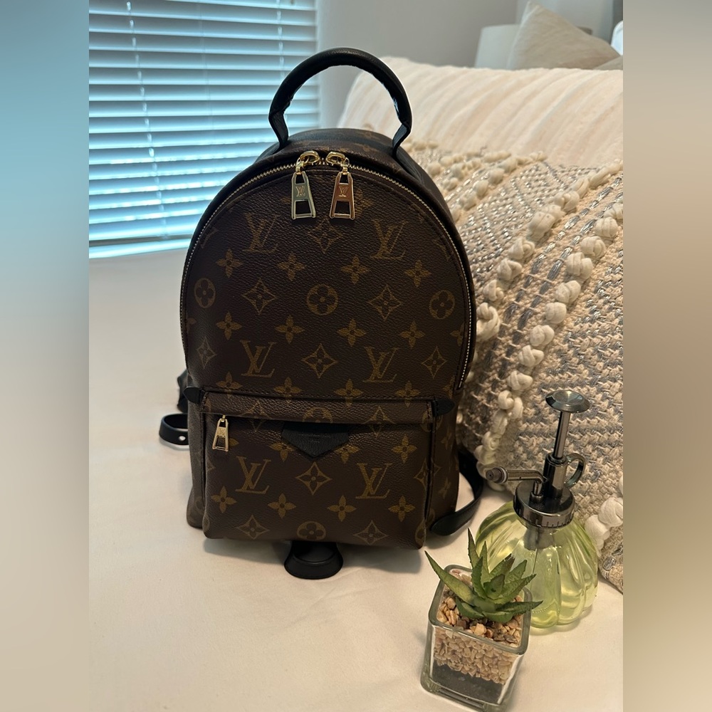Louis Vuitton Palm Springs Monogram PM Backpack